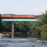 7T3A4808