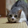 一秒前