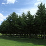 モエレ沼公園2