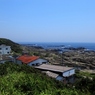 三浦岬　７
