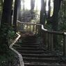 帰ろかな～・・・。