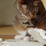 カレンダーのその後2