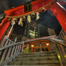 日比谷神社 夜の輝き