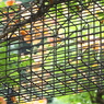 鳥かご。