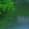 水鏡