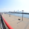 海遊館