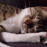 眠る