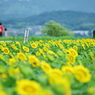 梅雨の終わり
