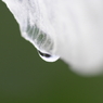 Aqueous Jewel 5