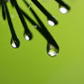 Aqueous Jewel 6