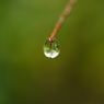 Aqueous Jewel 7