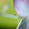 Aqueous Jewel 8