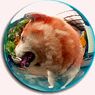 ビー玉レンズで柴犬