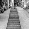 路地