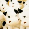 うしくん