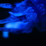 2/ｆ
