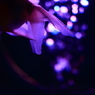 light + 
