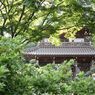 涼やか。