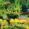  和歌山県植物公園緑花センター