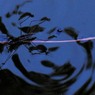 DSCN0116