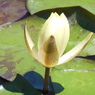 DSCN0130