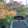 紅葉_1