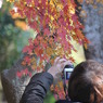 紅葉_7