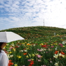 ゆりの楽園