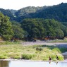 巾着田