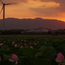 夏の日の夕暮れ