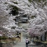 高島市　古刹酒波寺2012#2