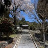 高島市　古刹酒波寺2012#3