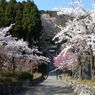 高島市　古刹酒波寺2013