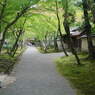 京都　天竜寺界隈