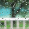 雨の景色　２