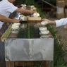 下鴨神社　みたらし祭り　朝６時