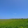 オホーツクの夏