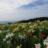 IMGP6855