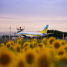 ようこそ北海道～夏～