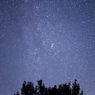 星空と木