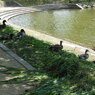 DSCN0179