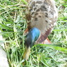 DSCN0192