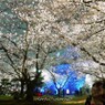 舞鶴公園