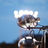 light up