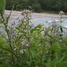 上高地20