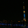 東京ホタル
