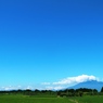青天の霹靂