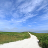 White road, Blue sky