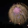 板橋花火16