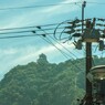 02_金華山のさわやかな展望